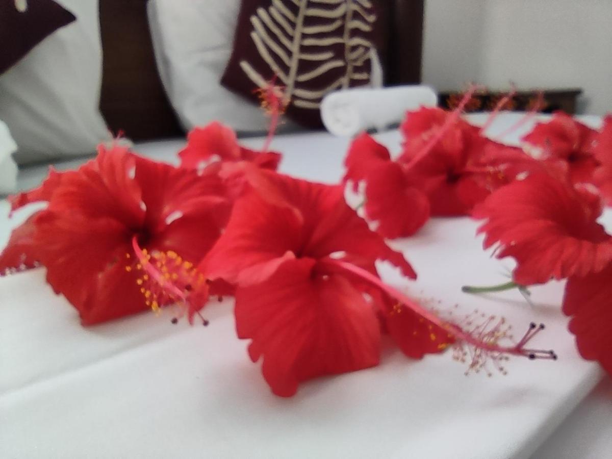 Uroa Beach Lodge ภายนอก รูปภาพ