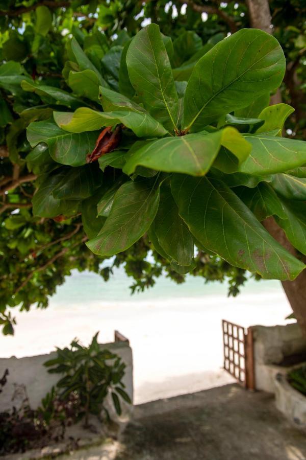 Uroa Beach Lodge ภายนอก รูปภาพ